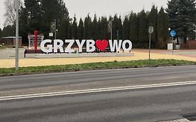 Apartament Słoneczny Bałtyk-Grzybowo rowery w cenie